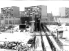planta1-640x480-copy